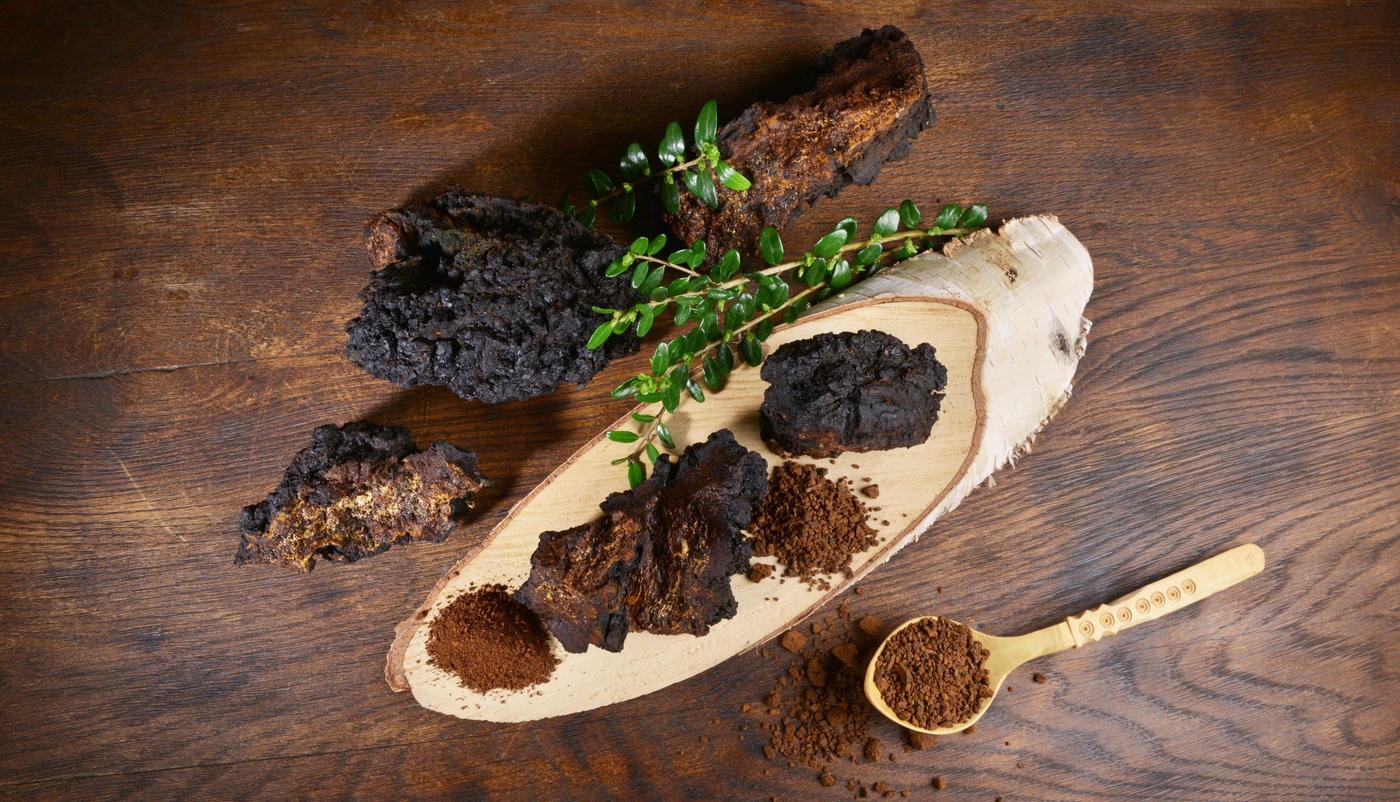Mushroom and Herbal Tinctures