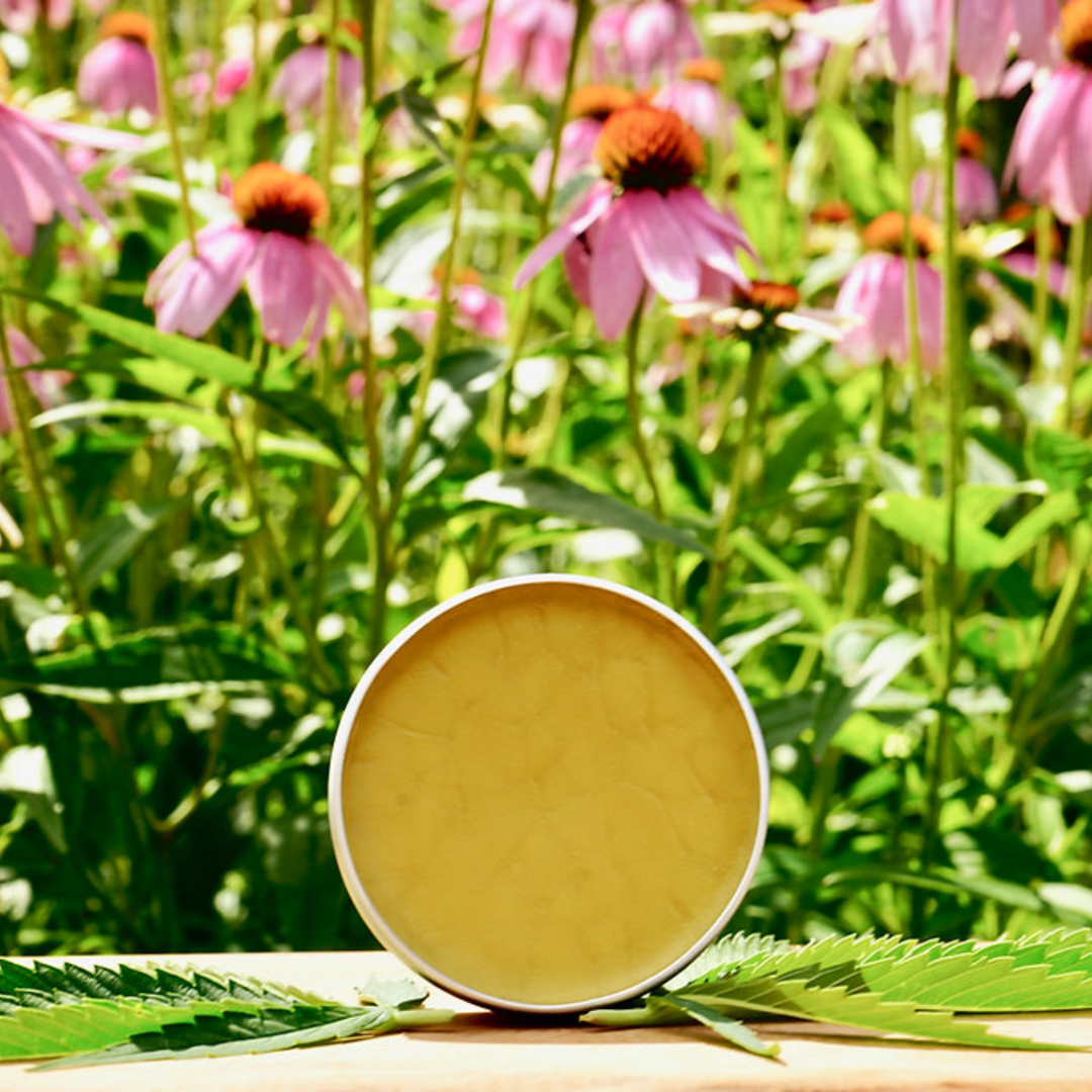 Pain Relief Salve - Rose Geranium